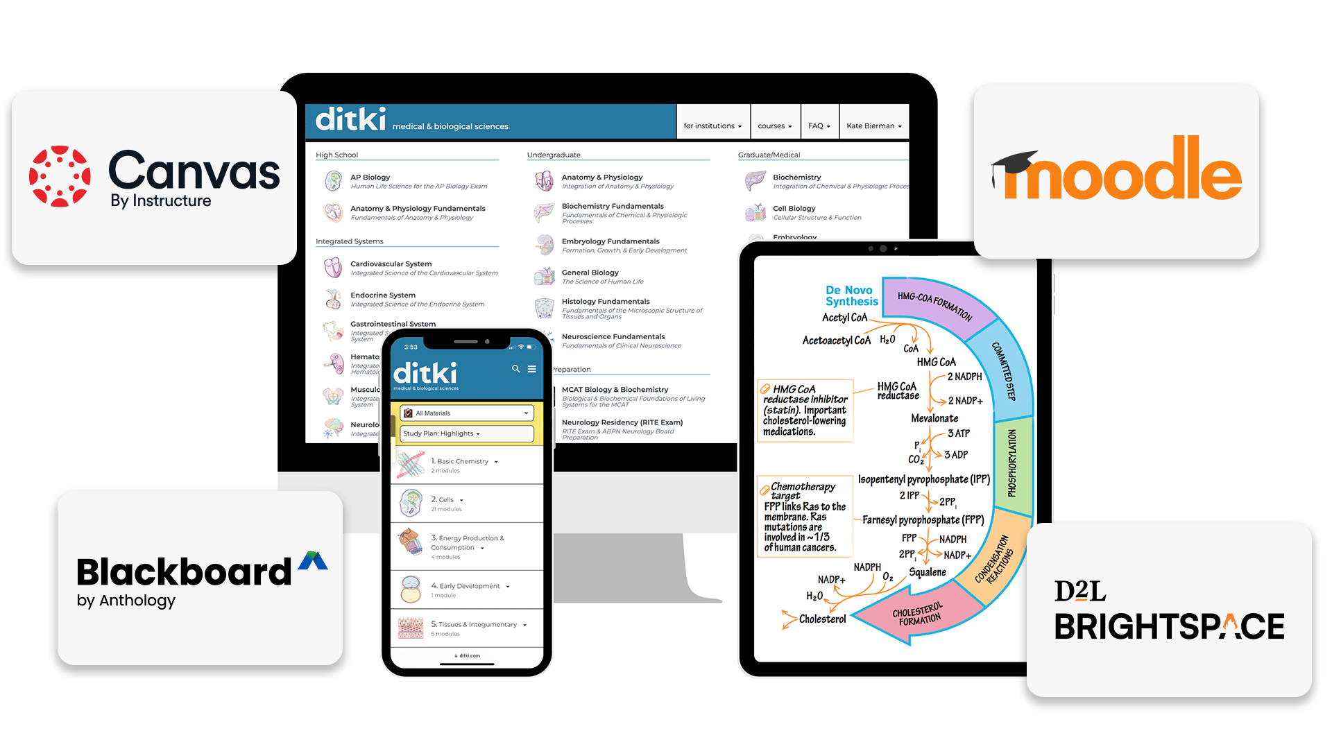 TDS Health - Website Image - Dikti Webpage - Tab Content Module - Dikti LMS