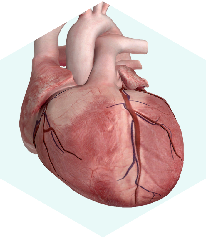 Website Image - AIBODY Page - Alternating Content Module - AIBODY Video Player copy