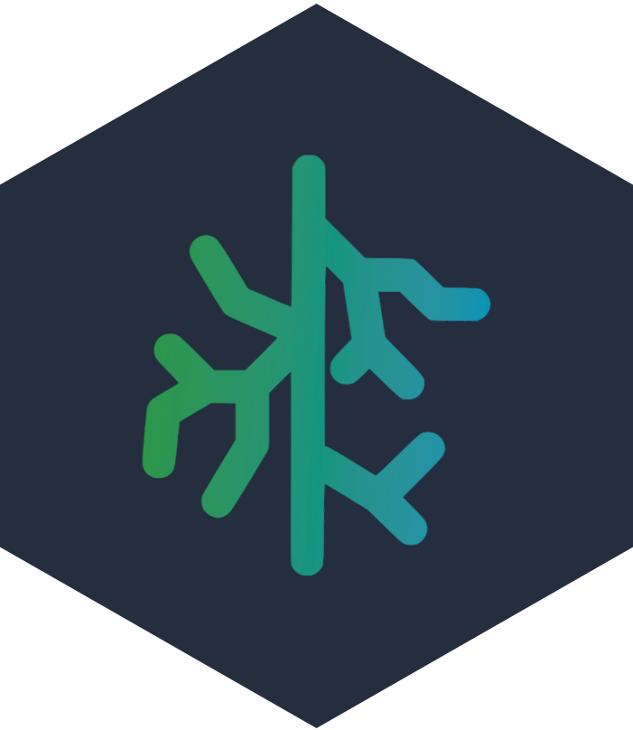 Dark Blue Hexagon With Neural Consult Logo