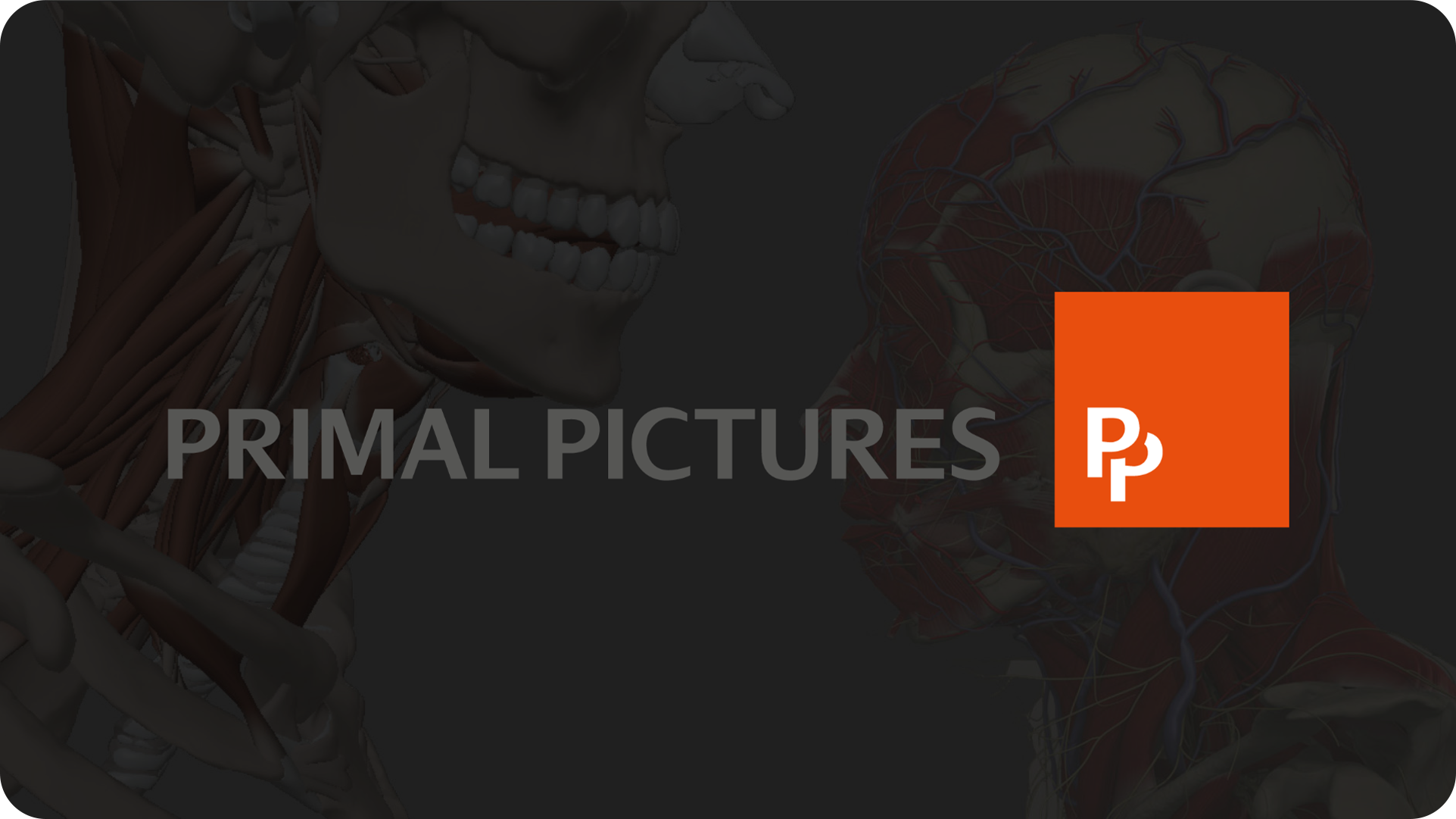 Website Image - Learner Event Page - Alternating Content Module - Primal Pictures - Teaching with Primal Pictures Practical Strategies for the Classroom