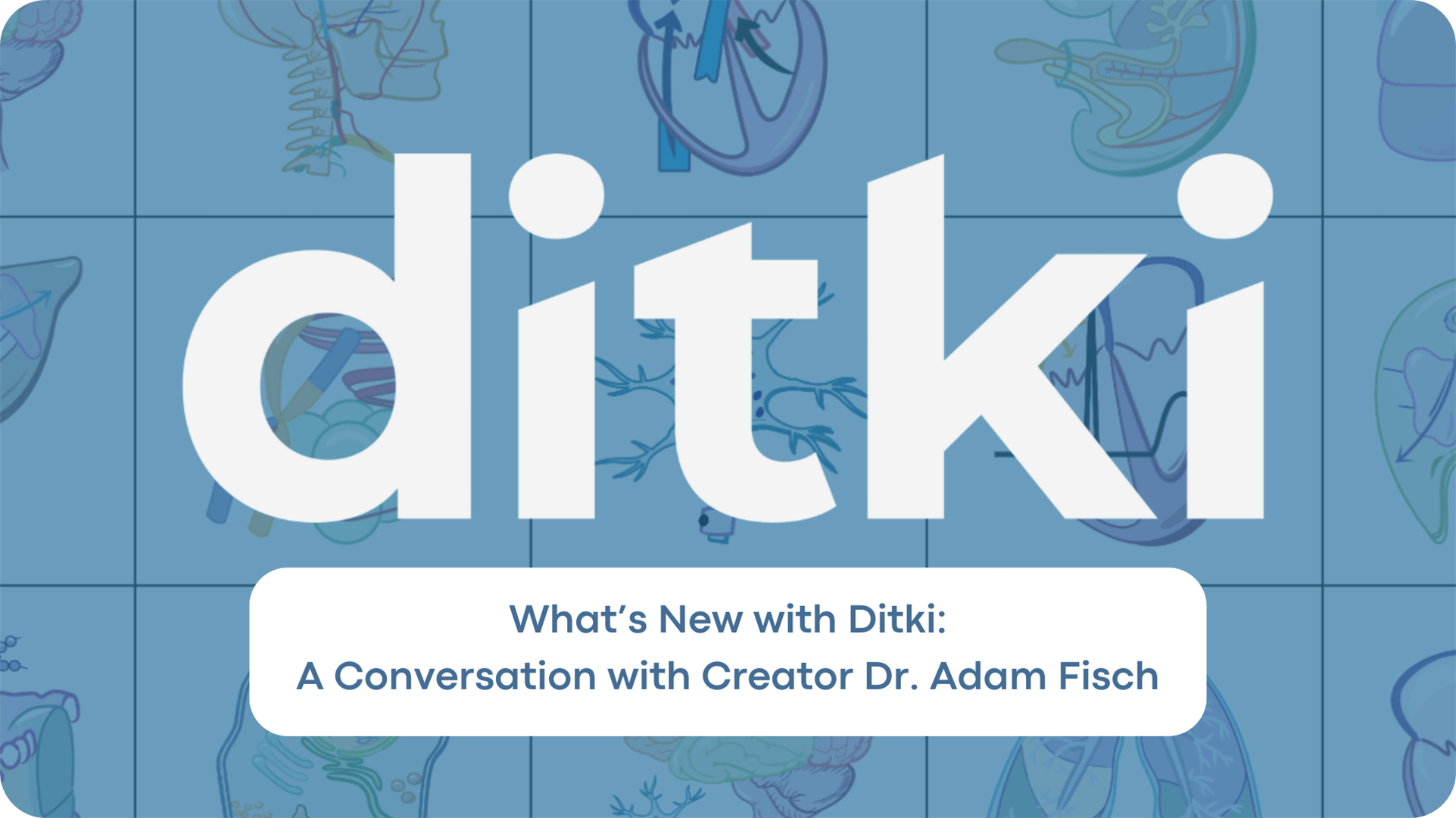 Whats New With Ditki Video Thumbnail