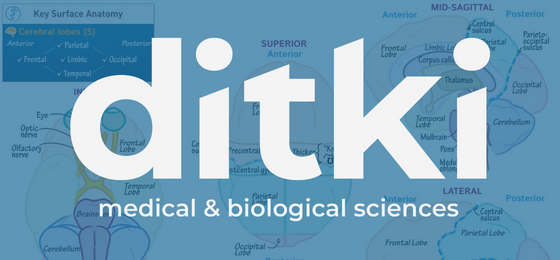 Ditki Logo