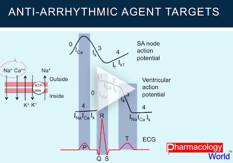 Anti-Arrhymic Agent Targets image
