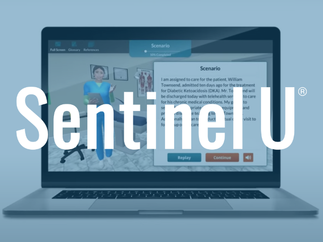 Sentinel U Product displayed on a laptop